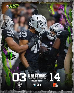 Image post by @raiders on Instagram