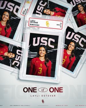 Image post by @layliostovar on Instagram