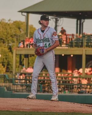 Image post by @gowoodducks on Instagram