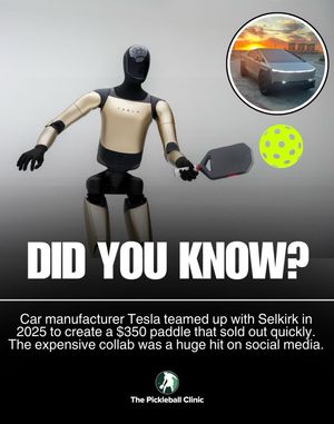 Image post by @thepickleballclinic on Instagram