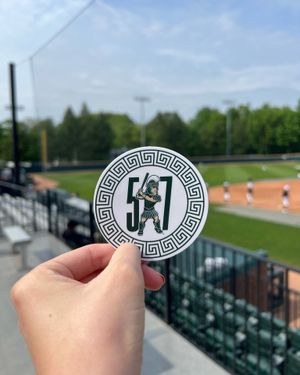 Image post by @msu_baseball on Instagram