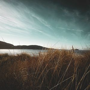 Image post by @creative_moxie on Instagram