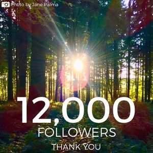 Image post by @candmclub on Instagram