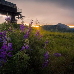 Image post by @skicrestedbutte on Instagram