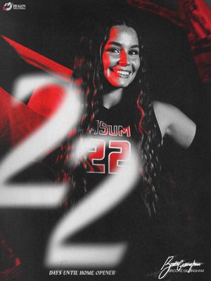 Image post by @msum_volleyball on Instagram