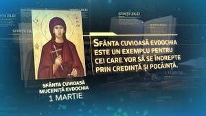 Video post by @trinitastvoficial on YouTube