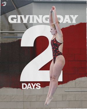 Image post by @msumdragons on Instagram