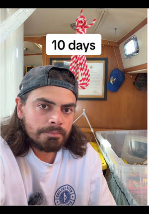 Video post by @sailing_with_phoenix on TikTok