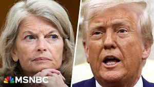 Video post by @msnbc on YouTube