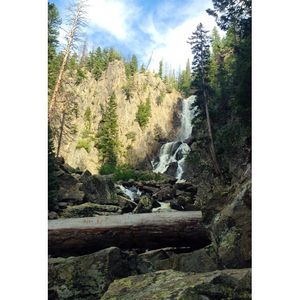 Image post by @hollynpatrick on Instagram