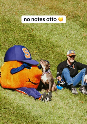 Video post by @evanvolkman on TikTok