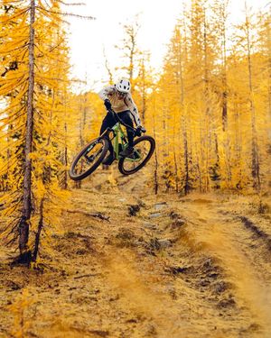 Image post by @spencerrathkamp on Instagram