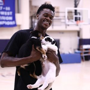 Image post by @nuggets on Instagram