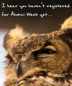 Image post by @templealumni on Instagram