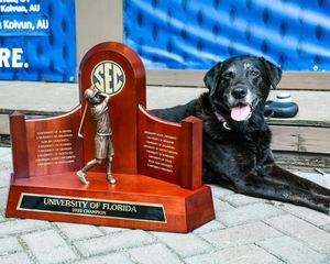 Image post by @gatorsmgolf on Instagram