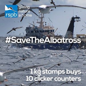 Image post by @rspb on Instagram
