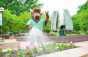 Image post by @marshallu on Instagram