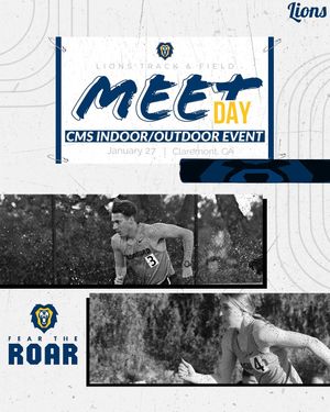 Image post by @vulions on Instagram