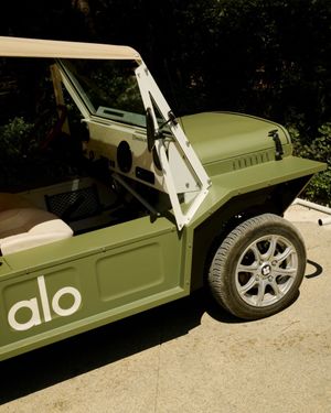 Video post by @alo on TikTok