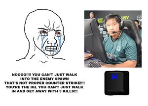 Image post by @FlyQuestCS on Twitter