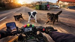 Video post by @2wheelsroadlife on YouTube
