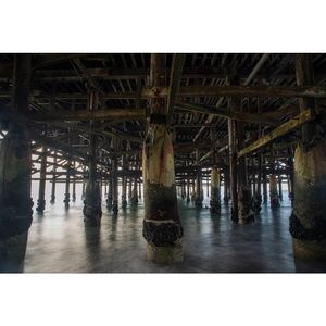 Image post by @gabetiano on Instagram