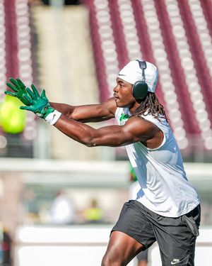 Image post by @MeanGreenFB on Twitter/X