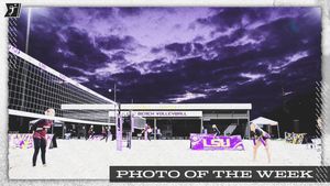 Image post by @NCAAVolleyball on Twitter