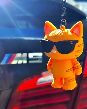 Image post by @pablo_theracecat on Instagram