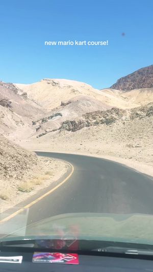 Video post by @allisonhollandmedia on TikTok