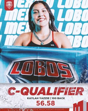 Image post by @unmloboswimdive on Instagram