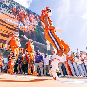 Image post by @iptay on Instagram
