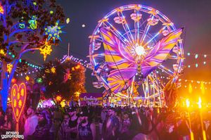 Image post by @beyondwland on Instagram