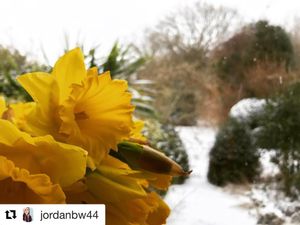 Image post by @candmclub on Instagram