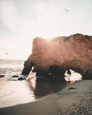 Image post by @drsquatch on Instagram