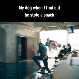 Image post by @9gag on Instagram