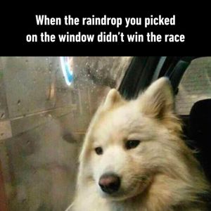 Image post by @9gag on Instagram