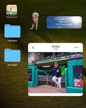 Image post by @hartfordyardgoats on Instagram
