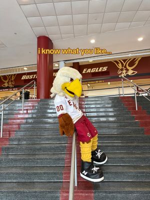 Video post by @bostoncollege on TikTok