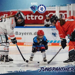 Image post by @ercingolstadt_e.v._eishockey on Instagram