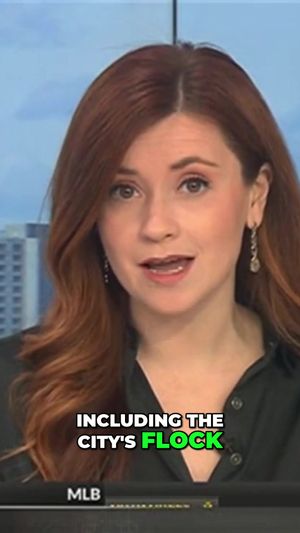 Video post by @flocksafety on TikTok