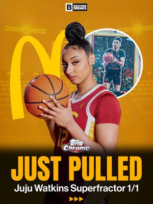 Image post by @backyardbreaks on Instagram