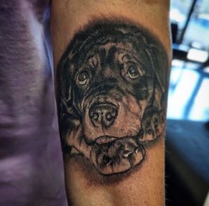 Image post by @tauntontattooco on Instagram