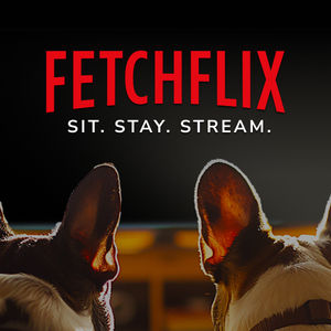 Image post by @bluebuffalo on Instagram