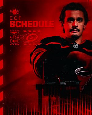 Image post by @canes on Instagram