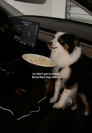 Video post by @lizaotovo on TikTok