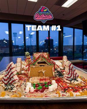 Image post by @memphisredbirds on Instagram