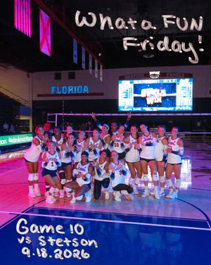 Image post by @fauvolleyball on Instagram