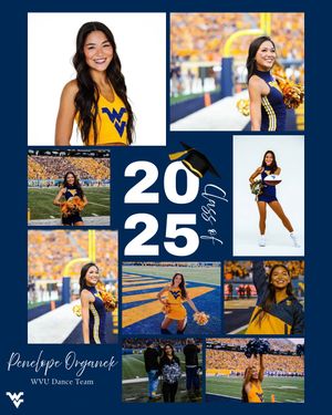 Image post by @wvudanceteam on Instagram