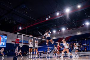Image post by @fauvolleyball on Instagram
